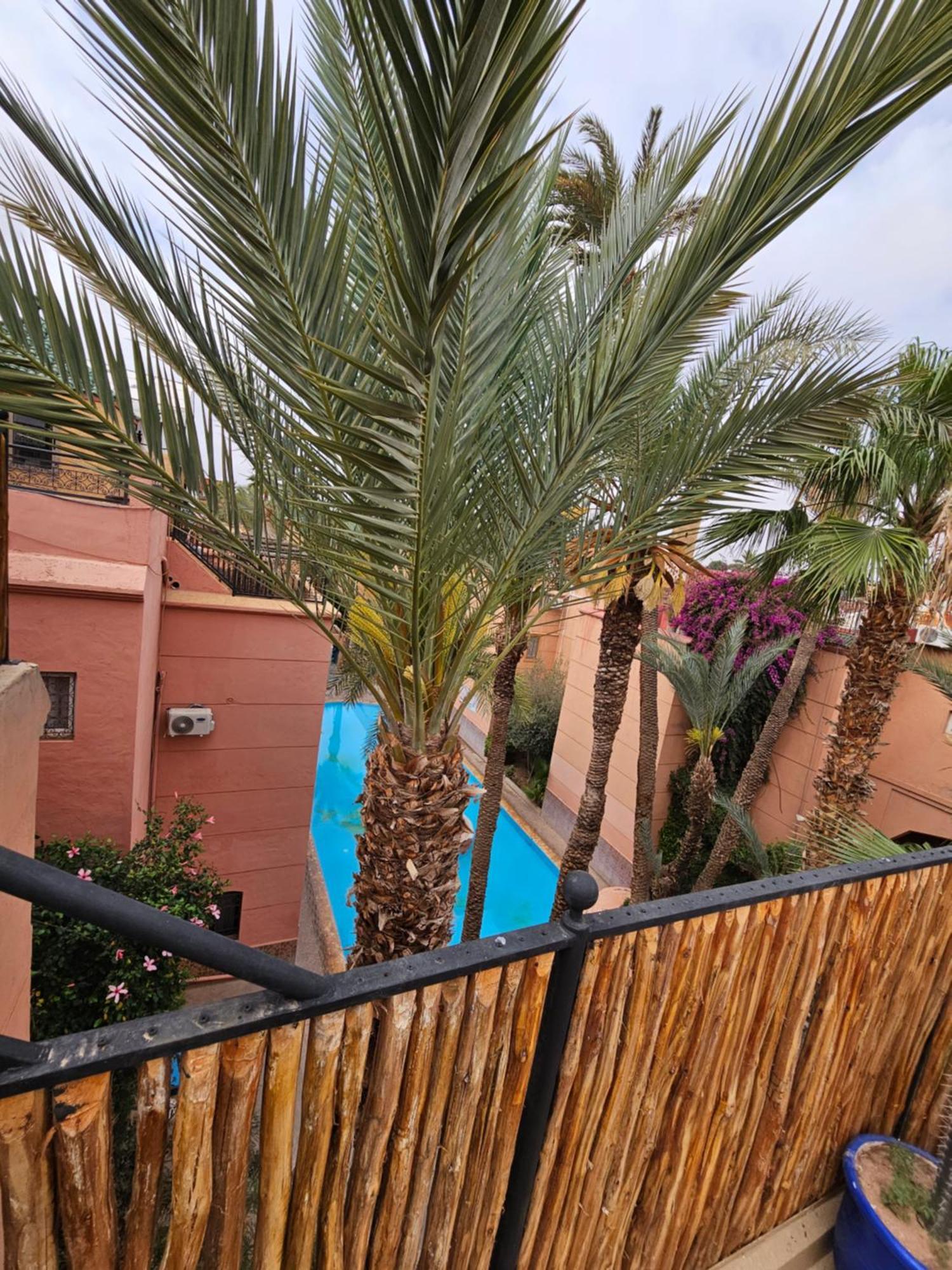 Duplex El Madina Villa Marrakesh Exteriör bild